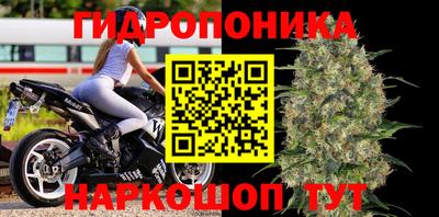 ПСИЛОЦИБИНОВЫЕ ГРИБЫ Лесосибирск