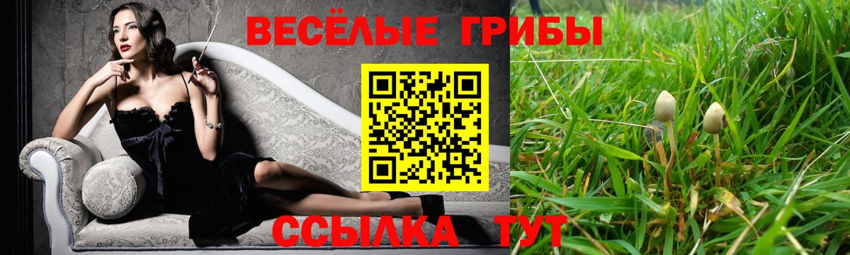 Псилоцибиновые грибы прущие грибы Тула
