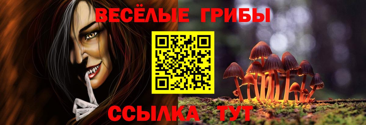 Псилоцибиновые грибы мухоморы  Псилоцибиновые грибы прущие грибы  Тула  Вход с VPN 